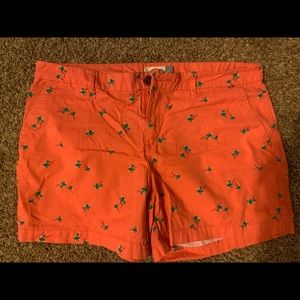 Palm Tree Shorts